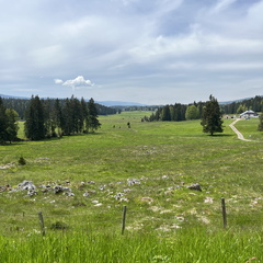 23-05-21 12-13-00 5513